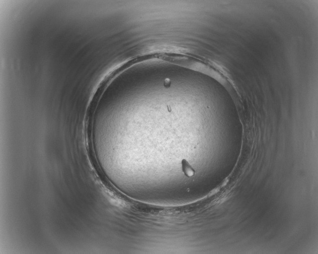 X0000067520987200604150155