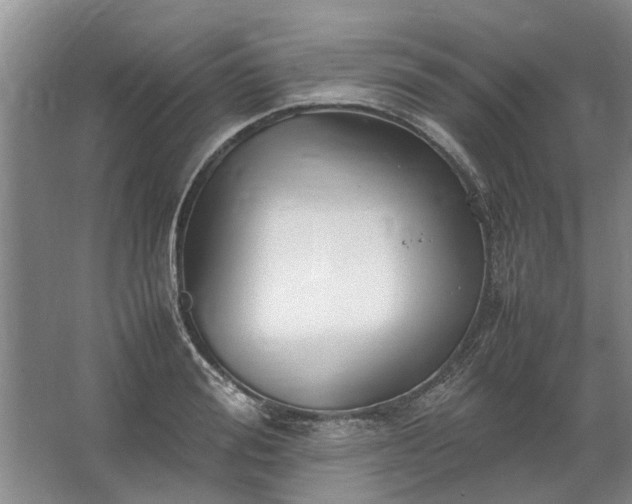 X0000067520988200604150155