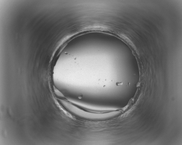 X0000067520989200604150155