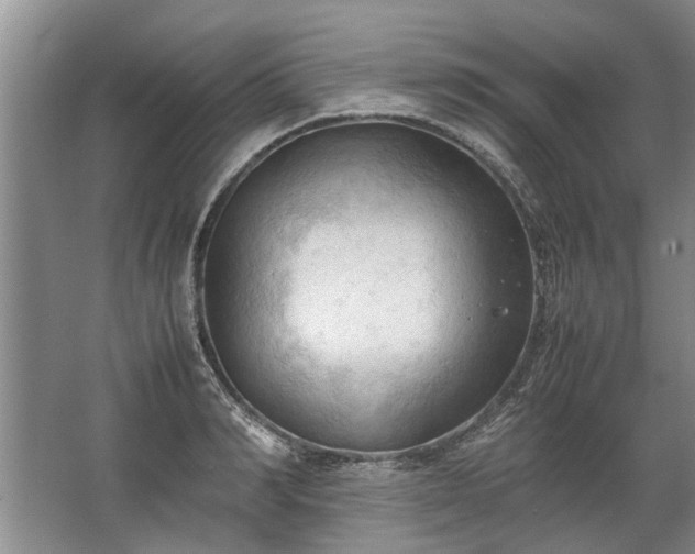 X0000067520990200604150155