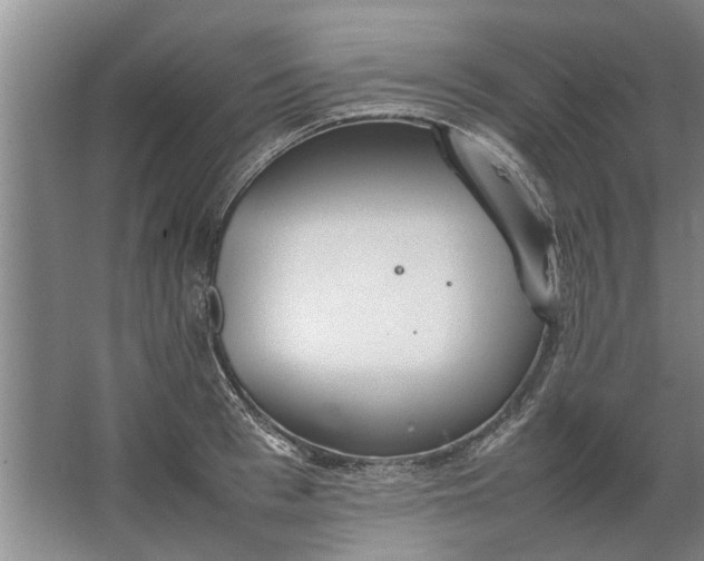 X0000067520993200604150155