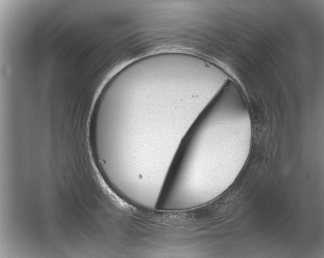 X0000067520995200604150155