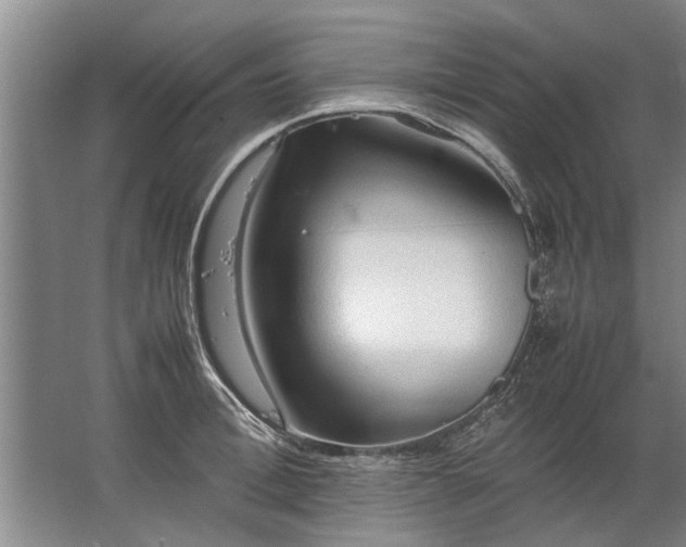 X0000067520996200604150155