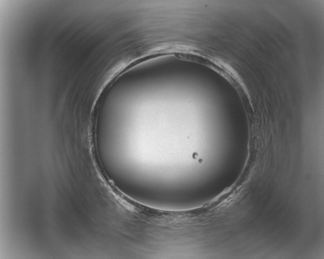 X0000067520997200604150155