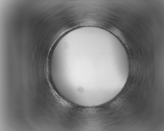 X0000067521000200604150155