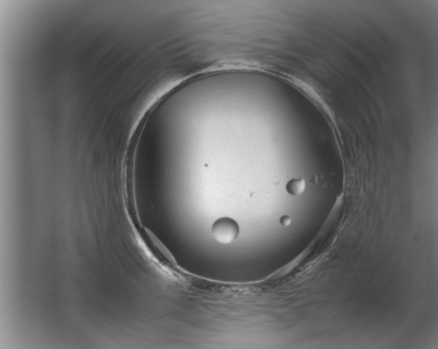 X0000067521003200604150155