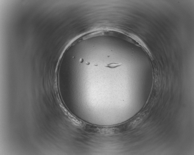 X0000067521004200604150155