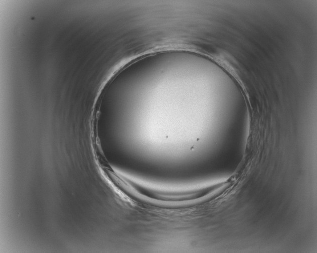 X0000067521005200604150155