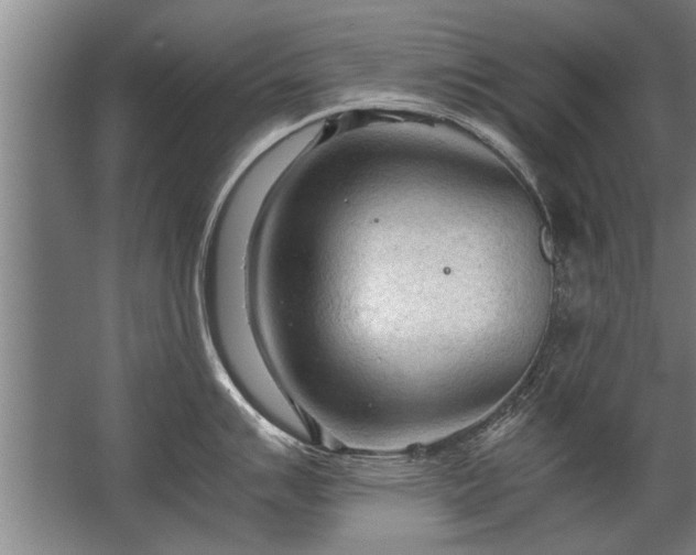 X0000067521007200604150155