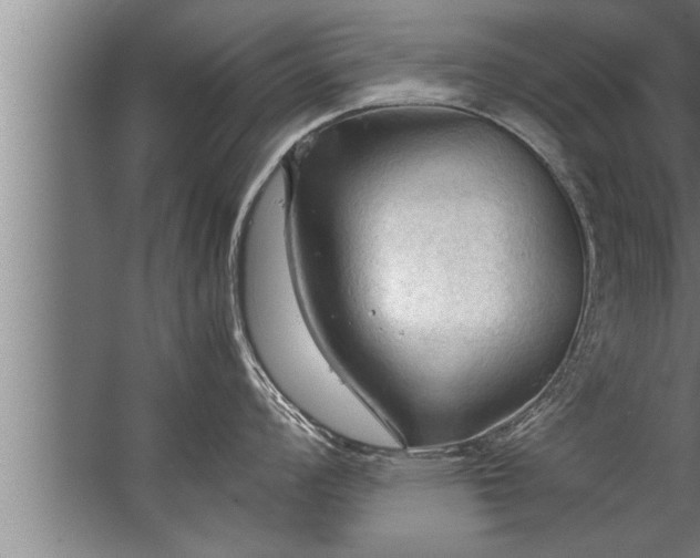 X0000067521008200604150155