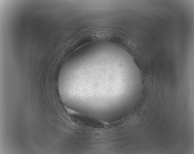 X0000067521009200604150154