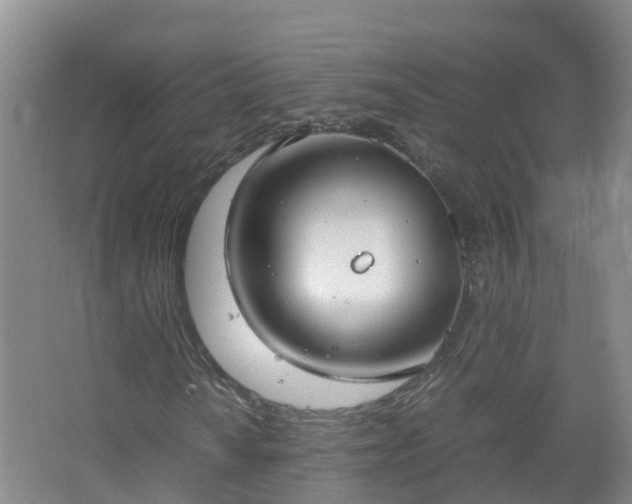 X0000067521010200604150154