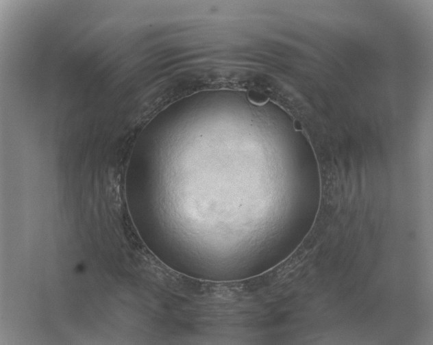 X0000067521013200604150154