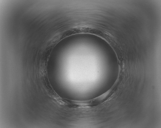 X0000067521014200604150154