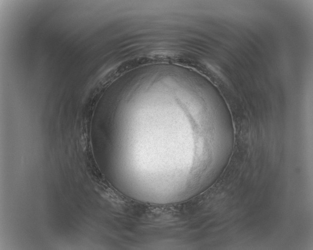 X0000067521015200604150154