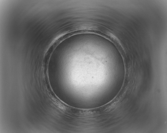 X0000067521019200604150154