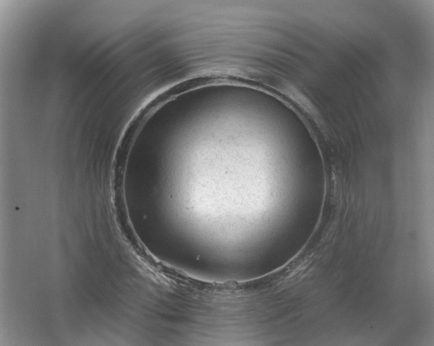 X0000067521020200604150154