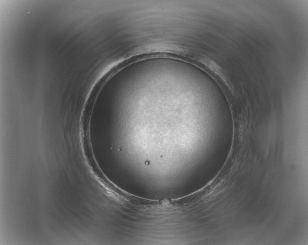 X0000067521024200604150154