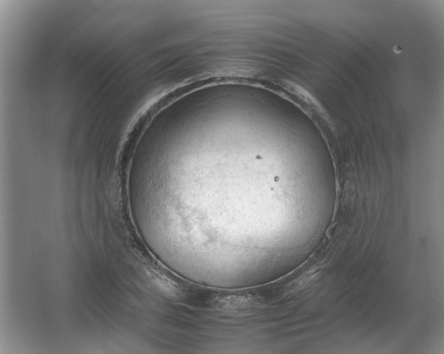 X0000067521027200604150154