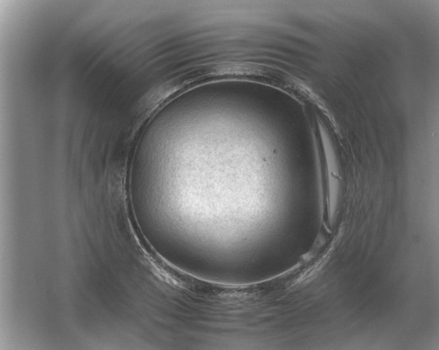 X0000067521033200604150154