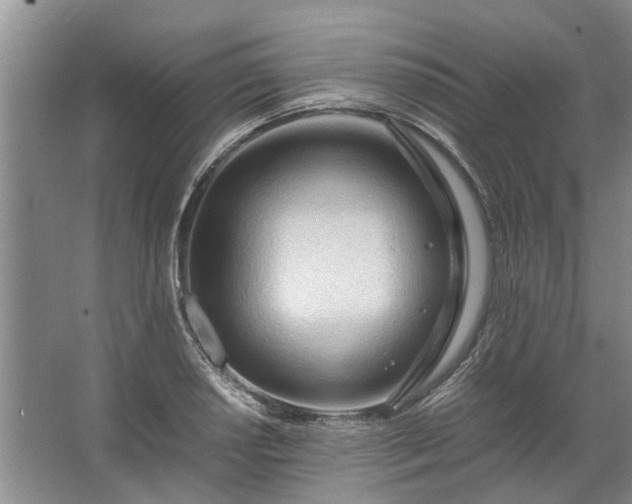 X0000067521034200604150154