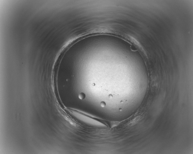 X0000067521035200604150154