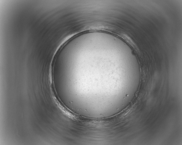 X0000067521036200604150154