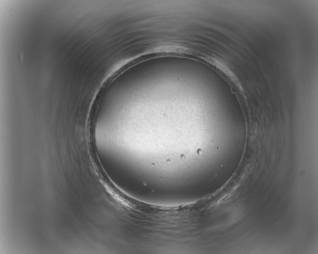 X0000067521037200604150154