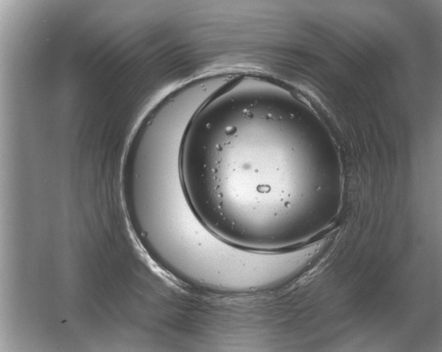 X0000067521038200604150154