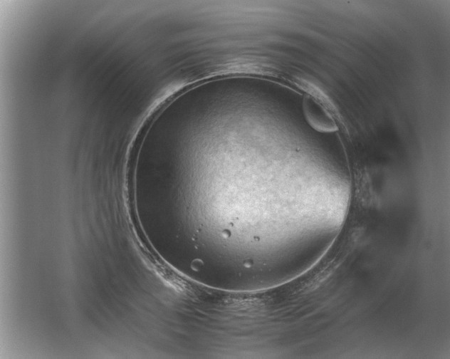 X0000067521043200604150155