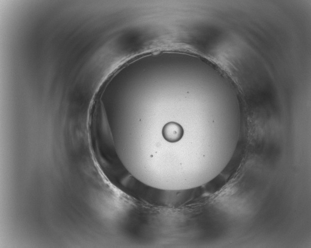 X0000067521046200604150155