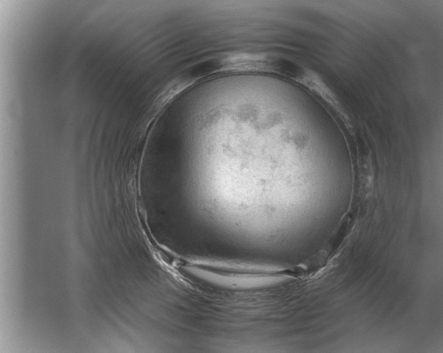 X0000067521049200604150155