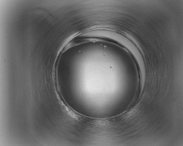 X0000067521050200604150155