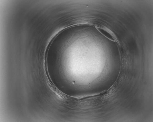 X0000067521051200604150155