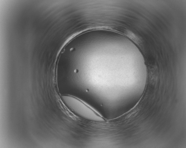 X0000067521052200604150155