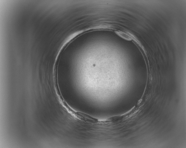 X0000067521053200604150155