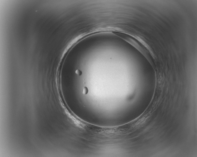 X0000067521054200604150155