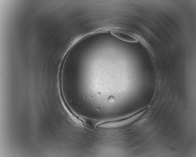 X0000067521055200604150155