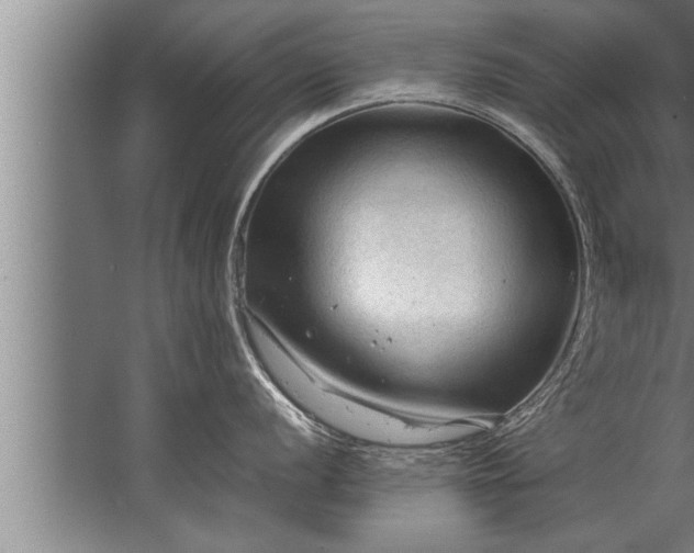 X0000067521056200604150155