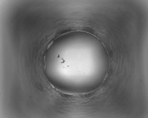 X0000067521057200604150154