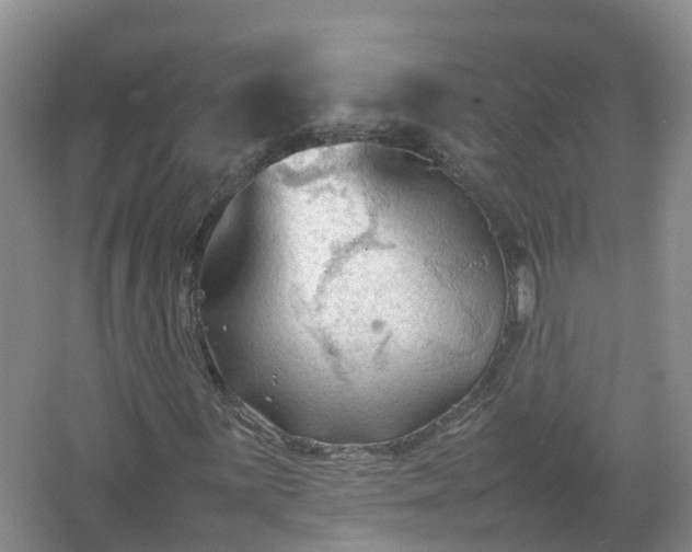 X0000067521059200604150154