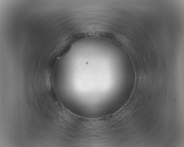 X0000067521060200604150154