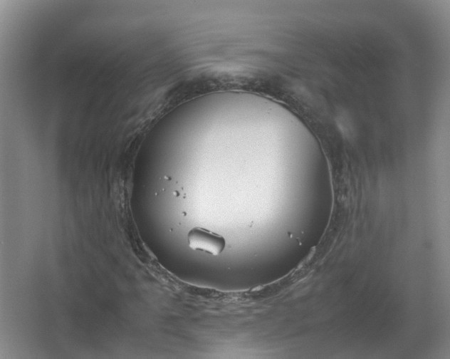 X0000067521061200604150154