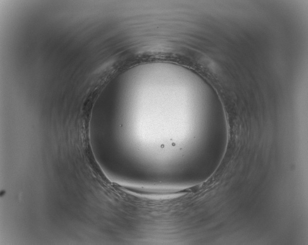 X0000067521062200604150154