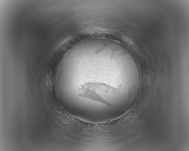 X0000067521063200604150154