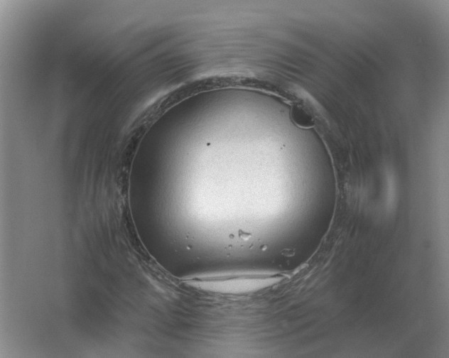 X0000067521064200604150154