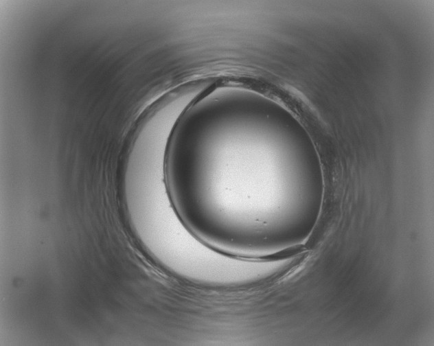 X0000067521065200604150154