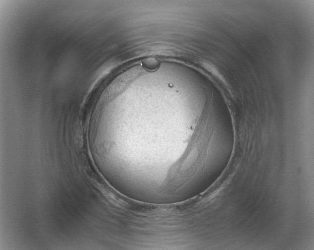 X0000067521067200604150154