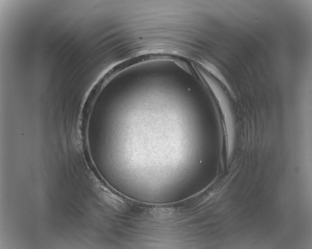 X0000067521068200604150154