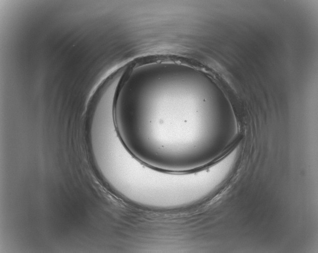 X0000067521069200604150154